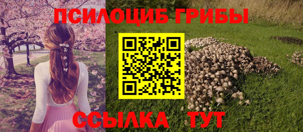 Псилоцибиновые грибы ЛСД  Галлюциногенные грибы MAGIC MUSHROOMS  Краснокаменск  Вход с VPN 